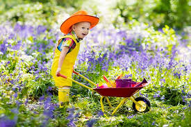 Nursery and plants