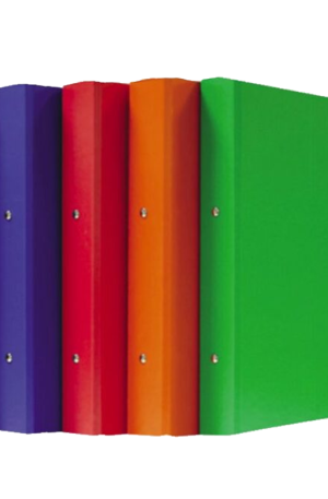 2 ring binder file
