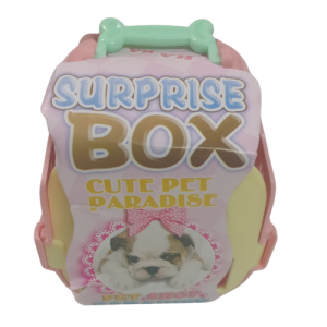 Surprise box pet
