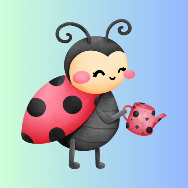 Ladybird class package