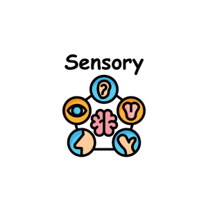 Sensory