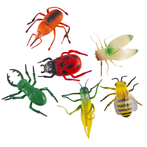 Insects Large