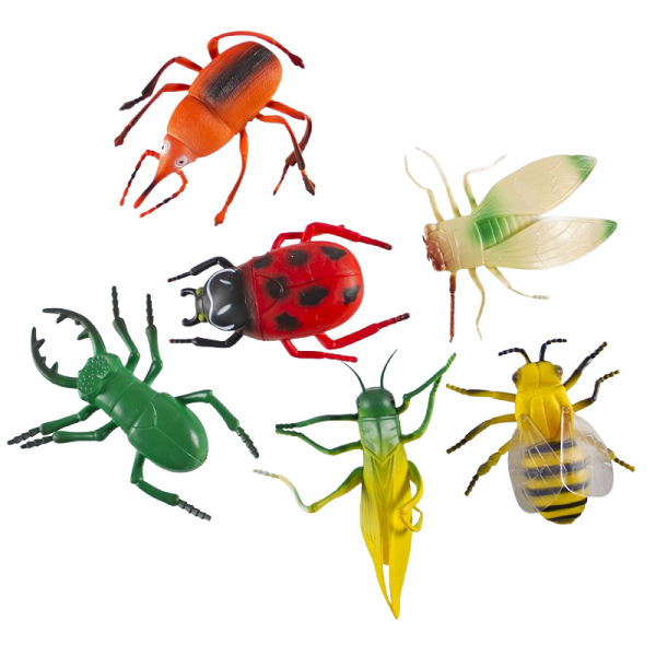 Insects Large
