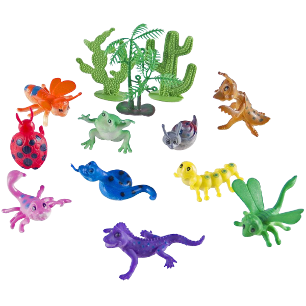 Reptile Animal Small Insects