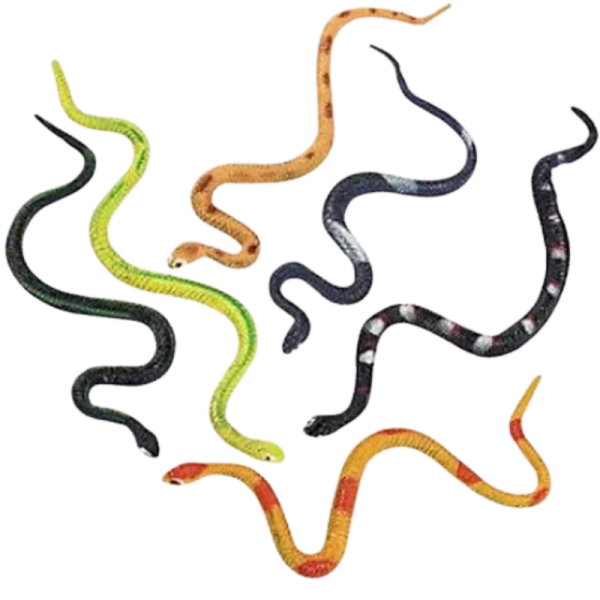 Snakes 6piece