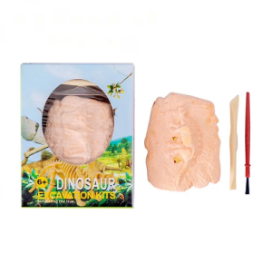 Dinosaur Excavation Kit