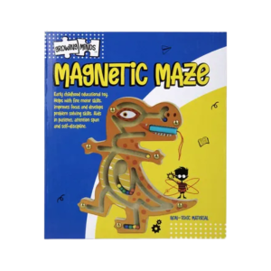 Magnetic Maze