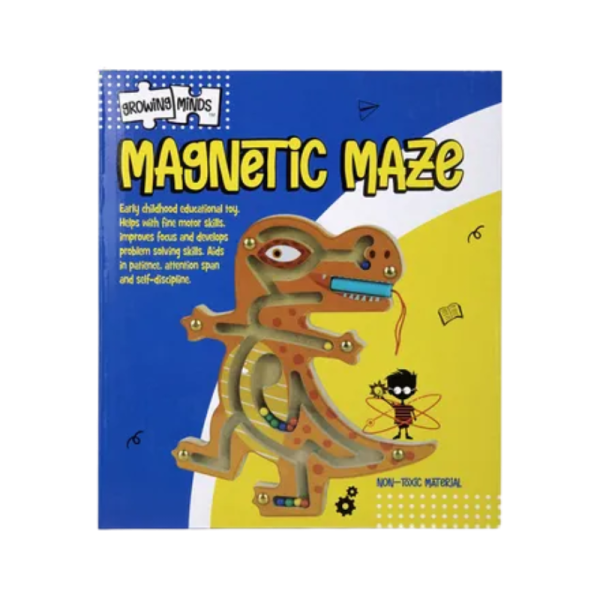 Magnetic Maze