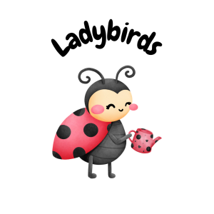 Ladybirds back to school package