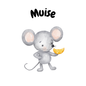 Muise back to school package